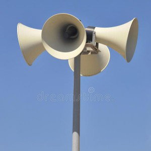 #la voz de la calle0