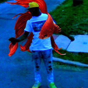 wtfiaf