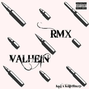 Valhein Freestyle RMX (Roller Coaster)