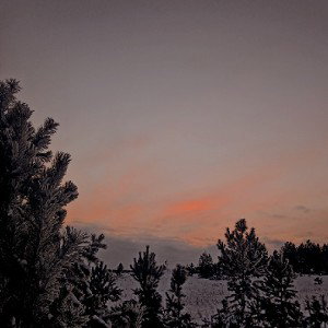 Lifeless - Осколки