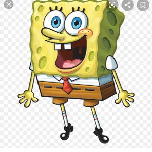 sponge