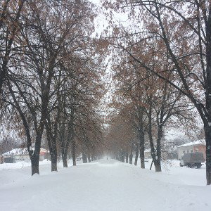 Мокрый снег