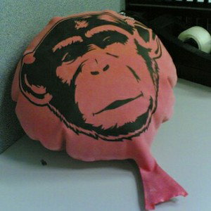 Whoopi Cushion's