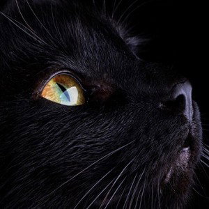 night fright 