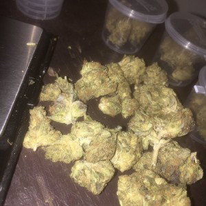 Bedtime Freestyle 🎵