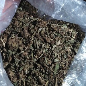 Ammazzati pure