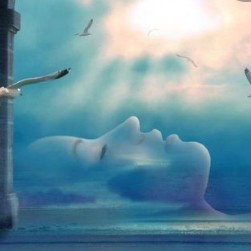 #bmvideo Dream of Paradise