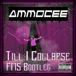 Till I Collapse (remix)