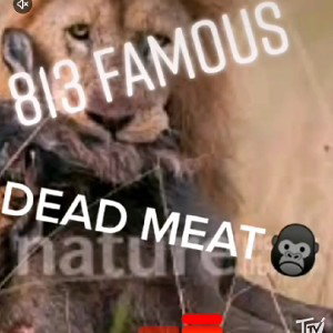 813 FAMOUS -DEAD MEAT🔥🍖🍖