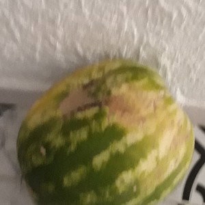 non ho voglio di studiare