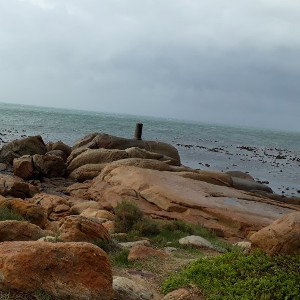 zone 2