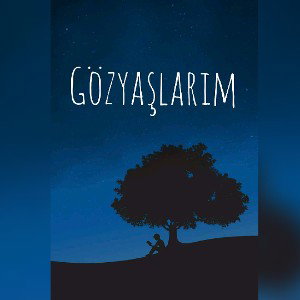 Sedat RON Gözyaşlarım  (Official Audio)