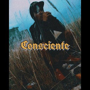🔹C O N S C I E N T E🔹
