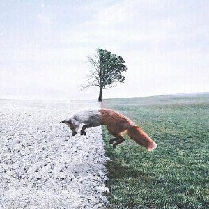 Steganografi - For Life