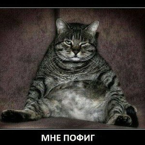             Мне пофиг                  