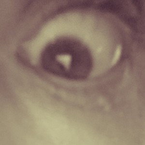 evidence
