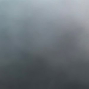 Reality freestyle