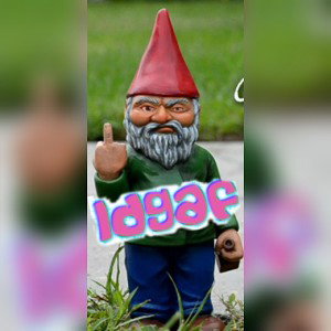  IDGAF