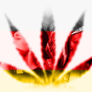 Wer kann hier besser freestylen?