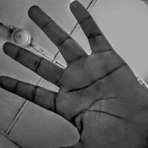 Feelings