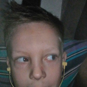 Холодок