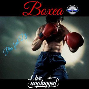 🥊BOXEA🥊