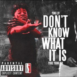 YungLiV-Don't Know What It Is