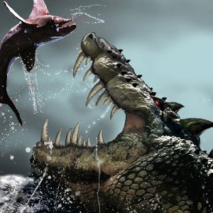 Alligator