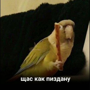 Катит автоваз
