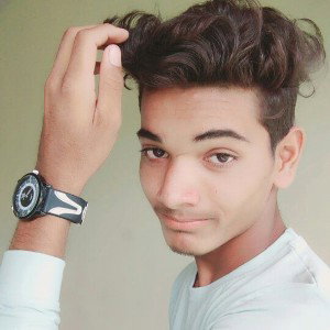 danish zahen