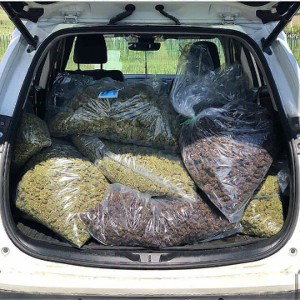 WEED 4 CHEAP FREESTYLE