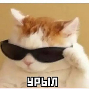 Я не один