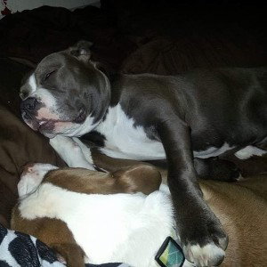 So much Love