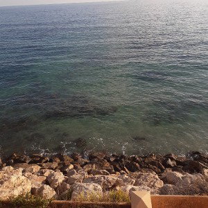 lonely on beach its fun!