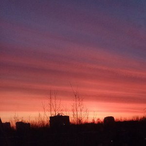 генгстер 