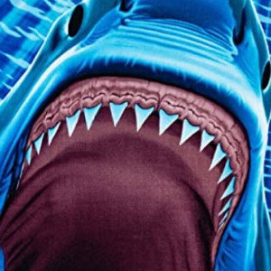 Great white 