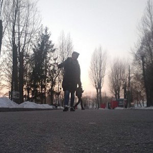 Для конкурса в тик-ток