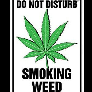 💨🥦Time to get my mind right💨🥦