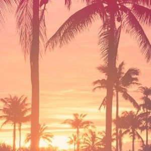 L.R. Whyte Tee Ft. Bab3 Girl & Cash Anonymous- Summer Nights (Remix)