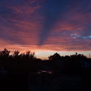 Моя жизнь