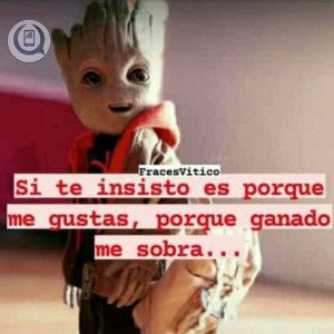 los bad boy