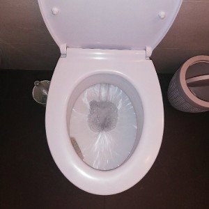 Tiro lo sciacquone