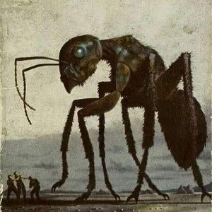Defiendo mi Raza