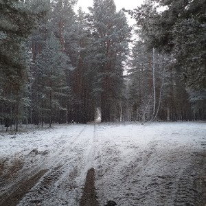 демка
