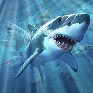 Shark Attack 🦈