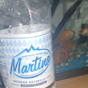 MARTINA 