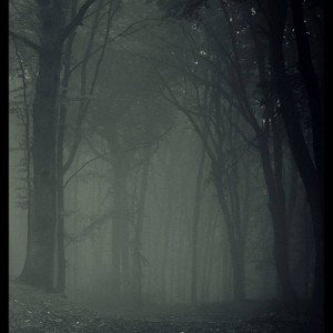 Darkness by wavyswavy