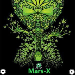 Mars-X:Один на один
