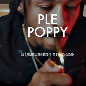 ple poppy - bleed for this 