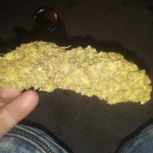 Corona virus shit 